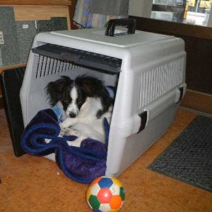 �A�[�X�x�e��